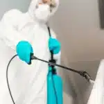 las plagas urbanas mas comunes