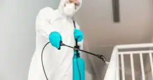 las plagas urbanas mas comunes