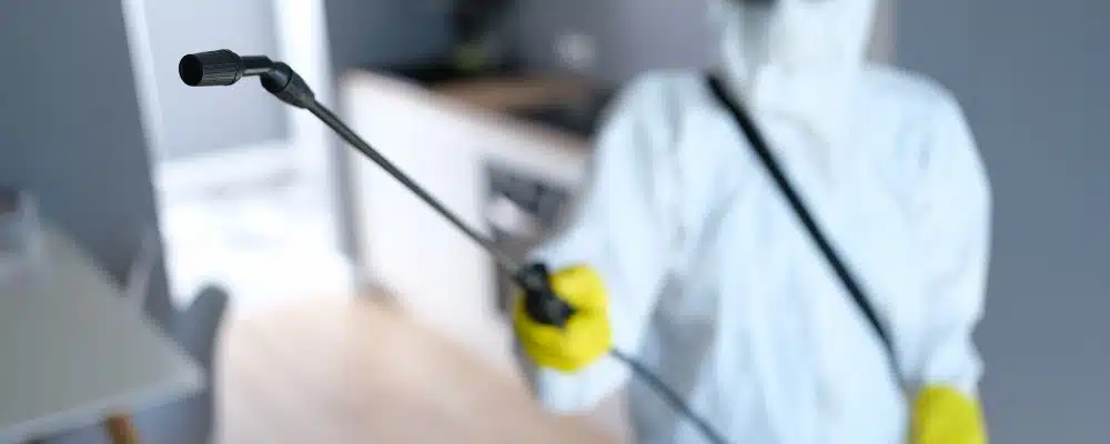 tipos de plagas urbanas mas comunes